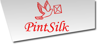 logo pintsilk rodape
